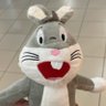 CoelhoSINCERO's profile picture
