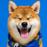ぽんず|野球好きの柴犬🦅 profil fotoğrafı