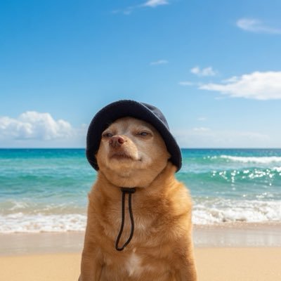 pireman__'s profile picture