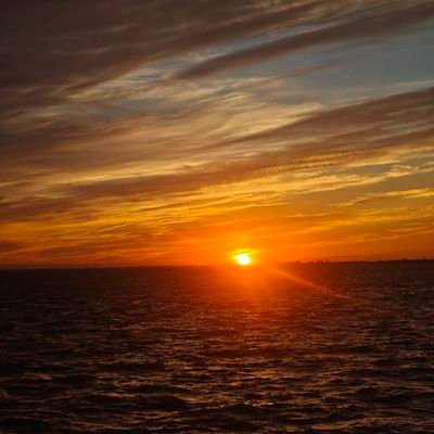 youpo148's profile picture