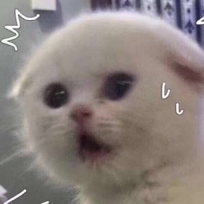 น้องนวย 🐈‍⬛ (fast)'s profile picture