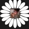 xxxprince🩵's profile picture
