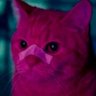 بحر's profile picture