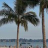 Ngườivôdanh profil fotoğrafı