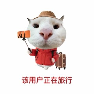 pant147's profile picture