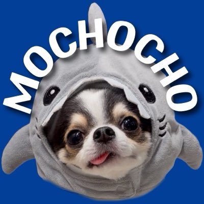 もちょちょ愛してる。's profile picture