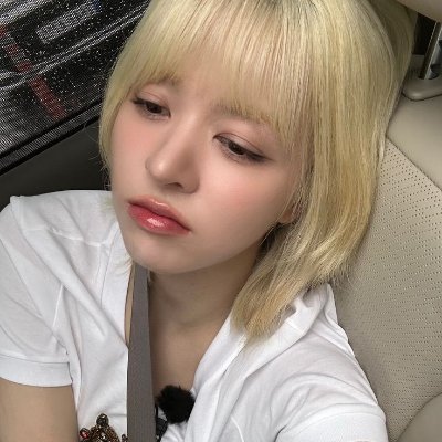 🐧's profile picture
