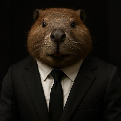 Beaver_0x's profile picture