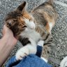 Profilbild von Tewi