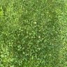 Фото профиля Ali