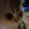 R's profile picture