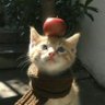 Cale's profile picture