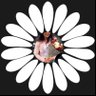 ʜᴏᴘᴇꕤ's profile picture