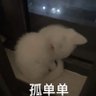 yu's profile picture
