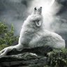 Profilbild von 🐺SheWolf🐺