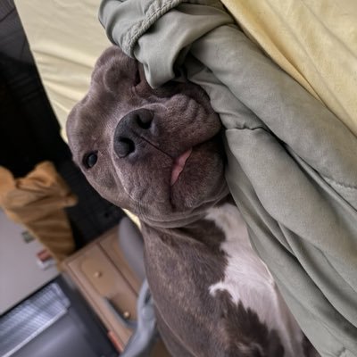 Flo's profile picture