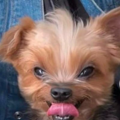C🇩🇴's profile picture