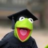 Profilbild von Kermit Thefrog, Ph.D.