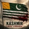 Profilbild von #قیدی نمبر 804