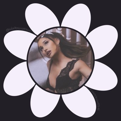 starryspetal ꕤ 。 ˚'s profile picture