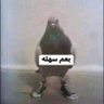 Фото профиля شمسٌ