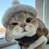 Фото профиля 格子化成水