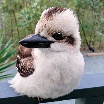 TobynJacobs's profile picture
