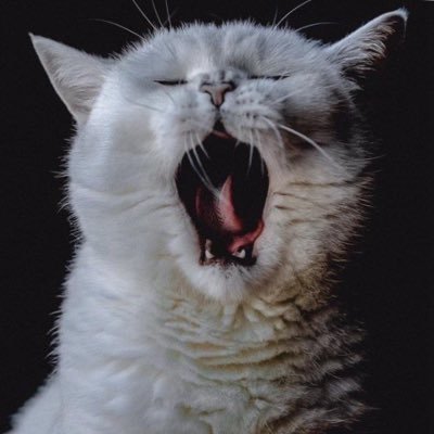 A''s profile picture