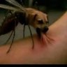 Фото профиля James Tumwine