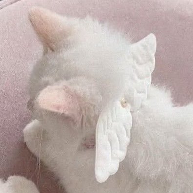ivoryinlace's profile picture