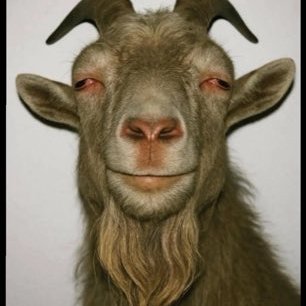 Obin27328Asogwa's profile picture