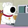 brian's profile picture