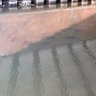 NPFX 的头像