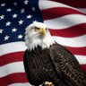 TheRedWhiteBlue profil fotoğrafı
