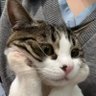 (༎ຶ ෴ ༎ຶ) profil fotoğrafı