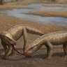 1stcrocodile 的头像