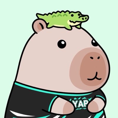 Traderibo123's profile picture