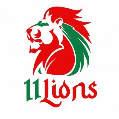 11LIONS.NL🦁's profile picture