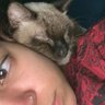 nico robin du lac da silva profil fotoğrafı