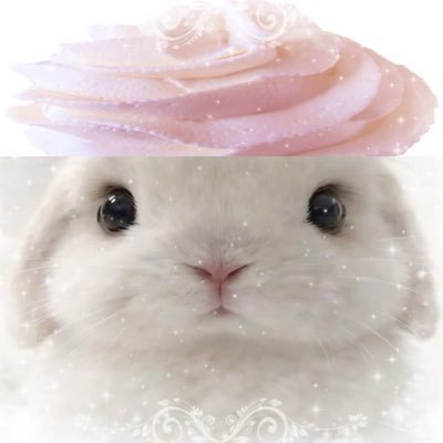 G6435688's profile picture