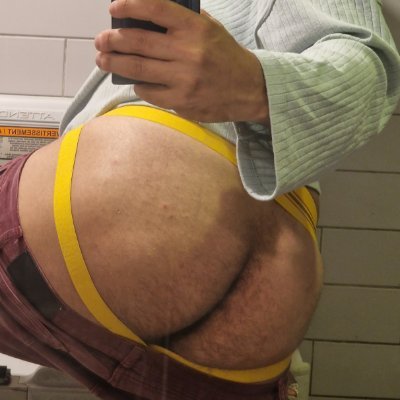 bulge_arian_xxx's profile picture