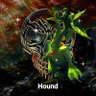 Фото профиля Hound