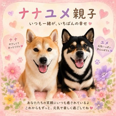 nana_shibainu's profile picture