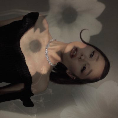 gabri ꕤ's profile picture