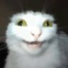 Profilbild von Not an actor