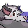 possum dude // solomon // 🔞 的头像