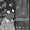 Coog 的头像