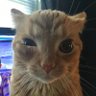 RocKnRm profil fotoğrafı