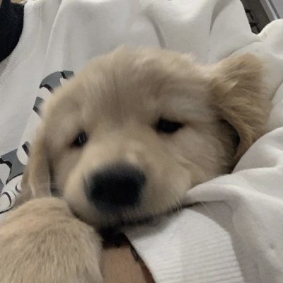nf_wx14's profile picture