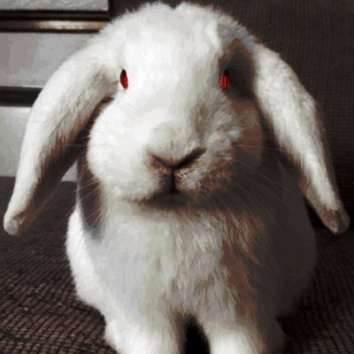 n's profile picture